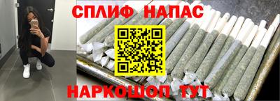 сатива Кандалакша