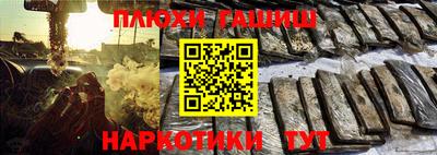 сатива Кандалакша