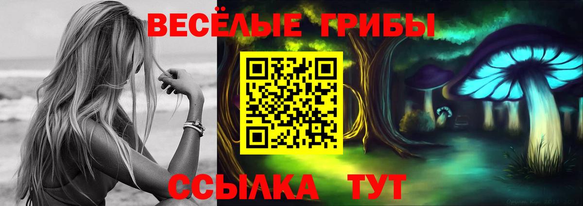 Псилоцибиновые грибы Psilocybine cubensis Кыштым