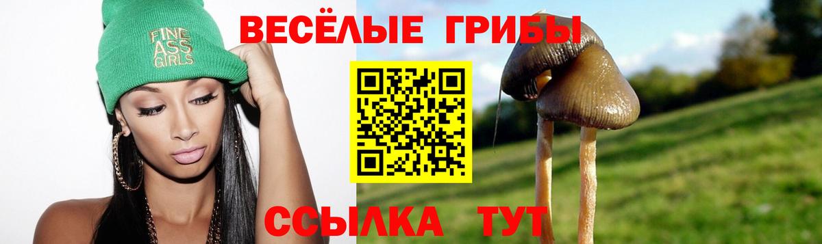 Псилоцибиновые грибы Psilocybine cubensis  Вход с VPN  Псилоцибиновые грибы Cubensis  Кыштым 